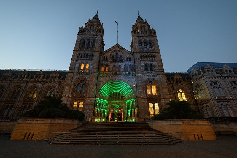 Outside of natural history museum, entrance is lit with a green light.