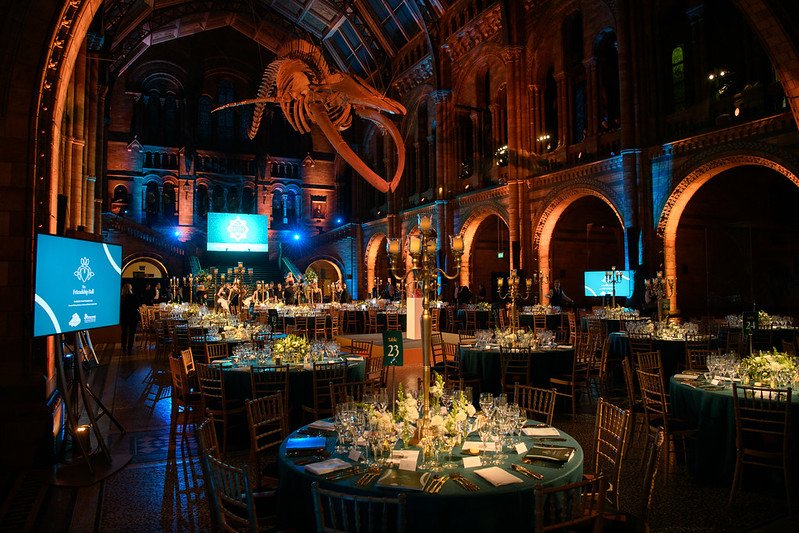 image of inside of natural history museum