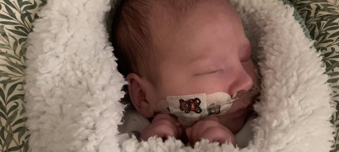 Baby Leo swaddled in a blanket