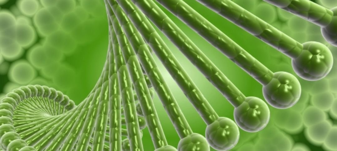 DNA helix