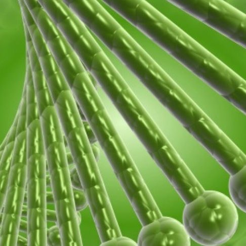DNA helix