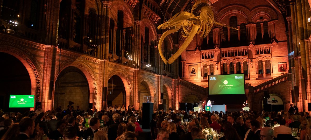 A room with gala dinner tables at the Natural History Museum