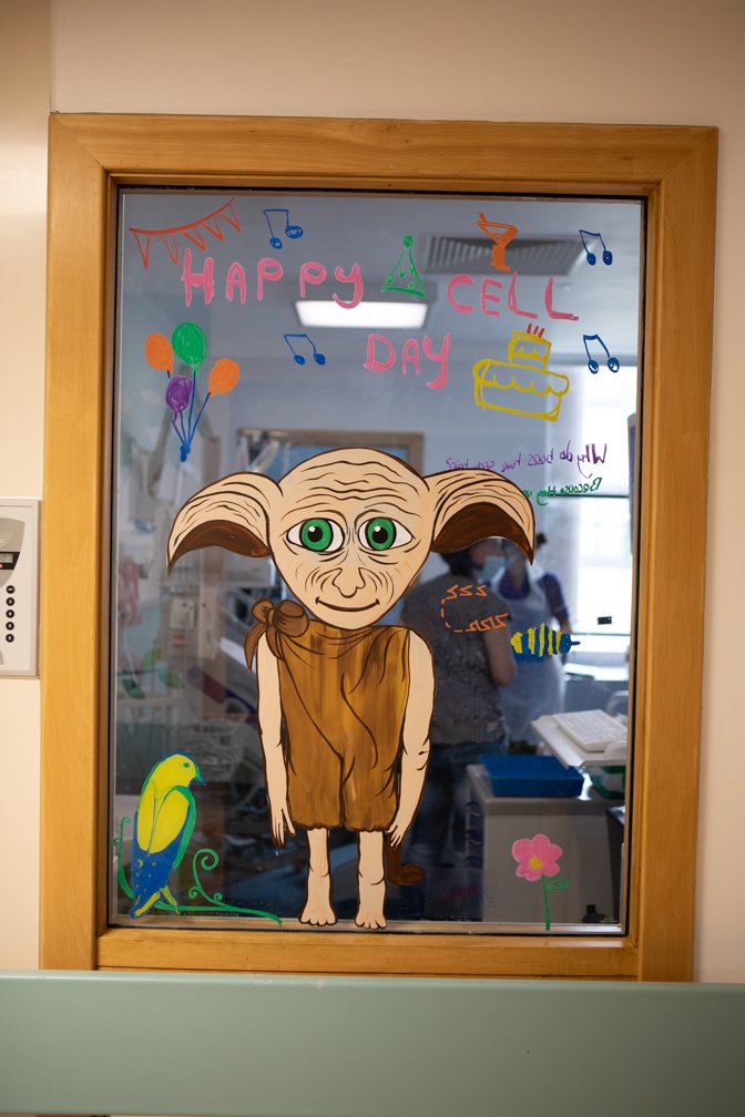 Decorated window of Alyssa's room at GOSH. It reads Happy Cell Day and has a painting of Dobby from Harry Potter.