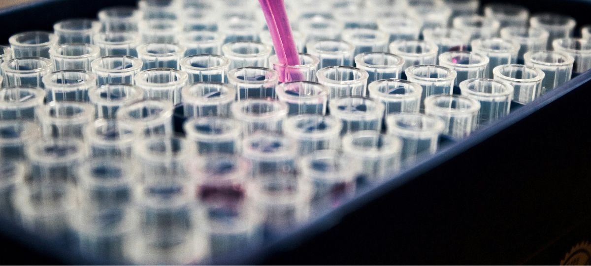 Stock image showing test tubes in lab