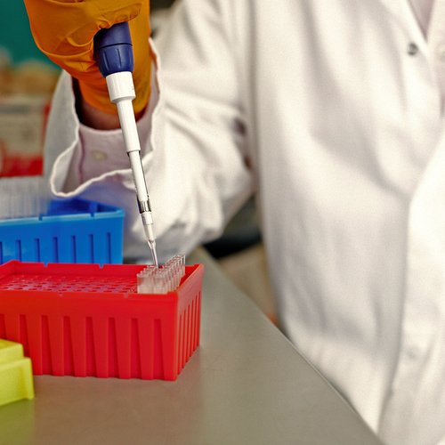 A researcher using a pipette at a lab bench