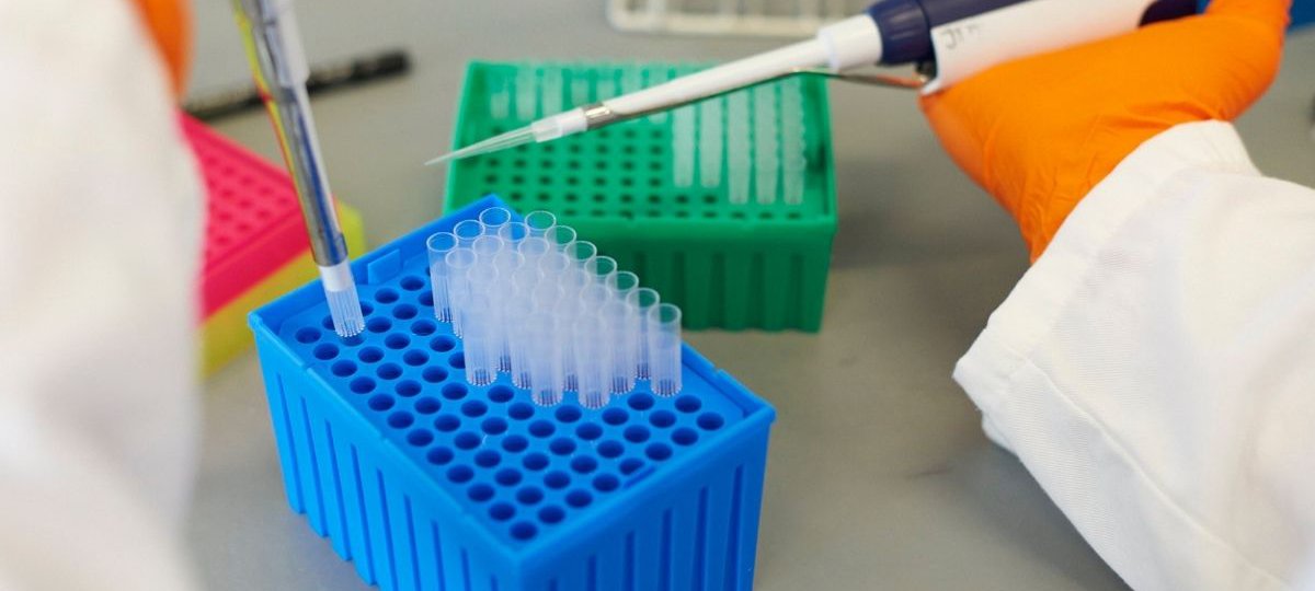 Gloved hands holding test tubes, carrying out experiment in research lab.