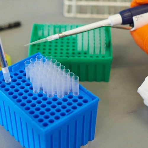 Gloved hands holding test tubes, carrying out experiment in research lab.