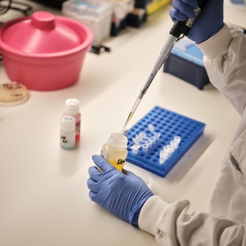 Close-up of researcher carrying out experiment