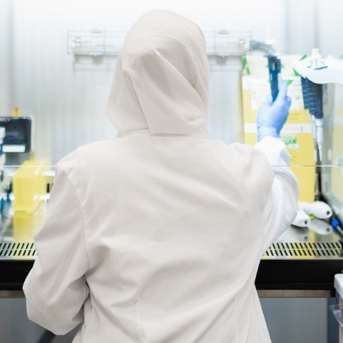 The back of a researcher working in a lab
