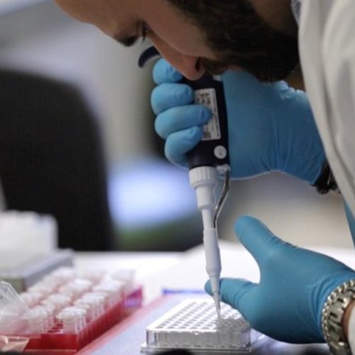 Researcher working in lab