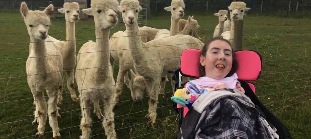 Shannon in front of a field with llamas in backfround