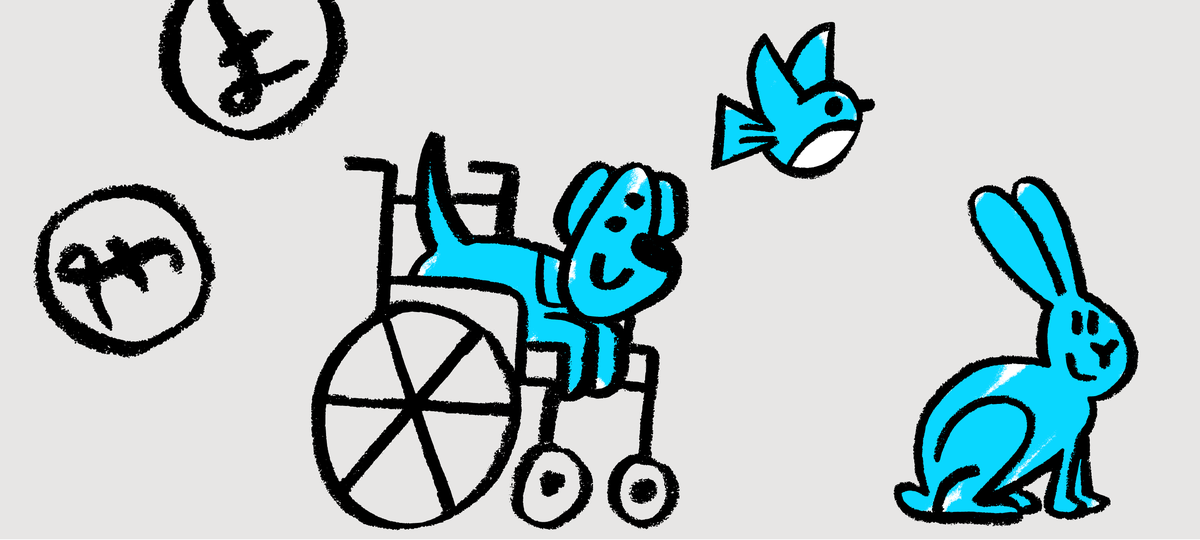 illustrations of dog, bird and rabbit