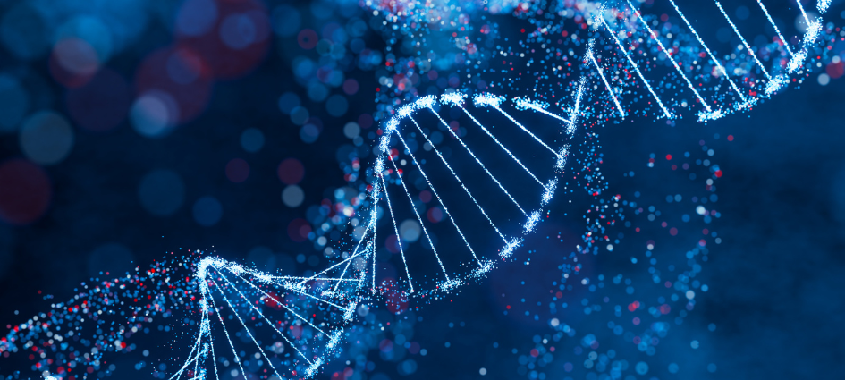 Hero image - DNA